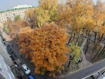 Фото номера Апартаменты Апартаменты APARTMENTS IN THE CENTER г. Могилев 54